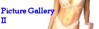 Picture Gallery 2